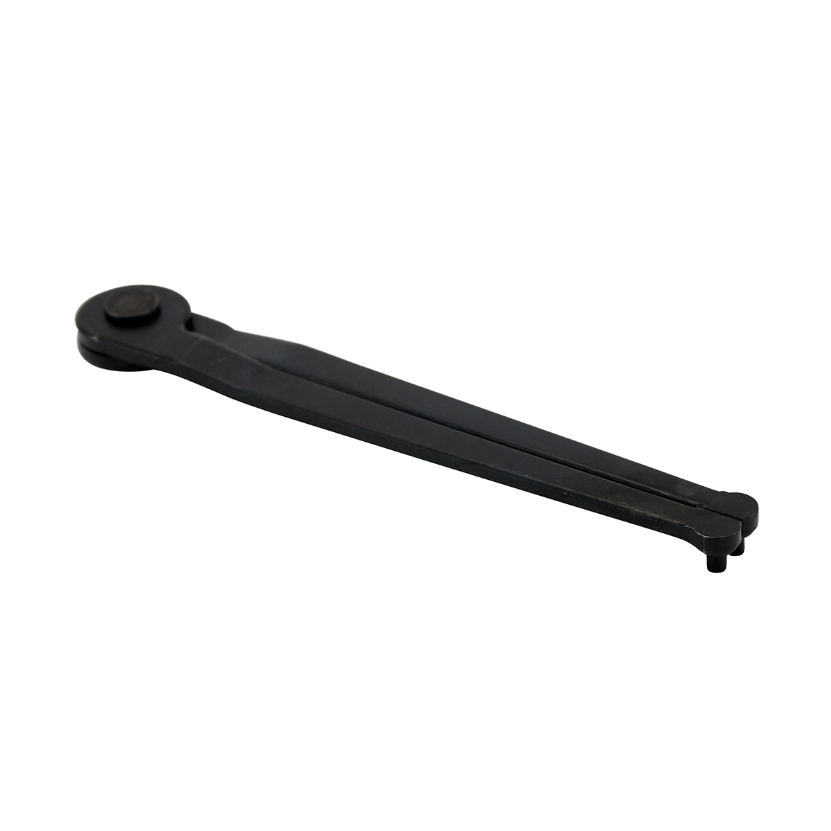 T10-SPAN